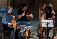 TheCeltictrio