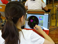 第一小学校ws